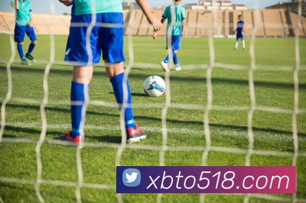 XBTO官网平台生态图